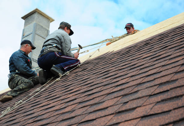 Best Roof Repair Services  in Home Garden, CA